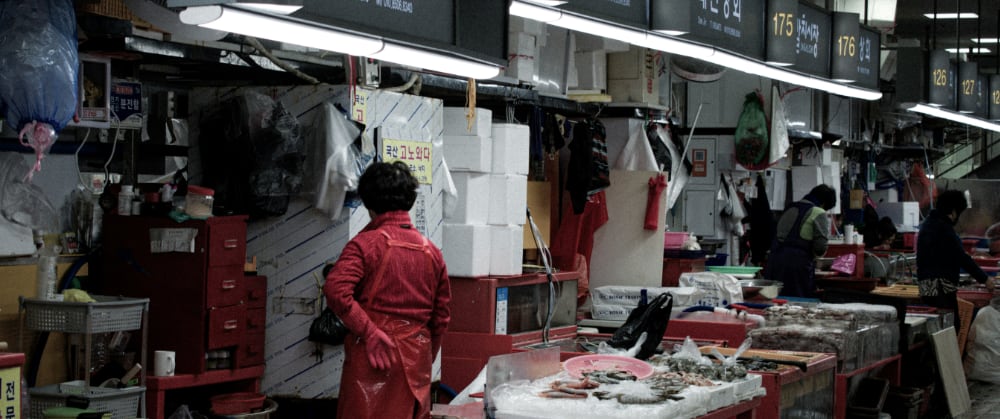 Stalls of fresh fish and shellfish on ice at Jagalchi Market, Busan's famous seafood market.