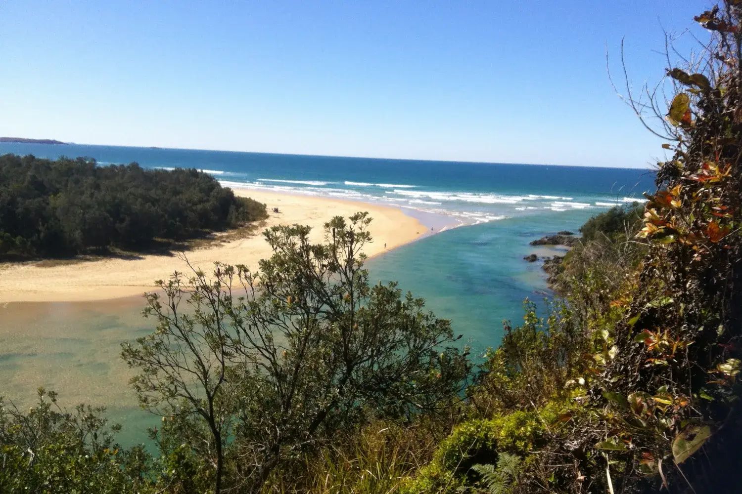 Boambee Creek seen from above, running out through a wide sandbar to the ocean, with forested headland and surf beyond