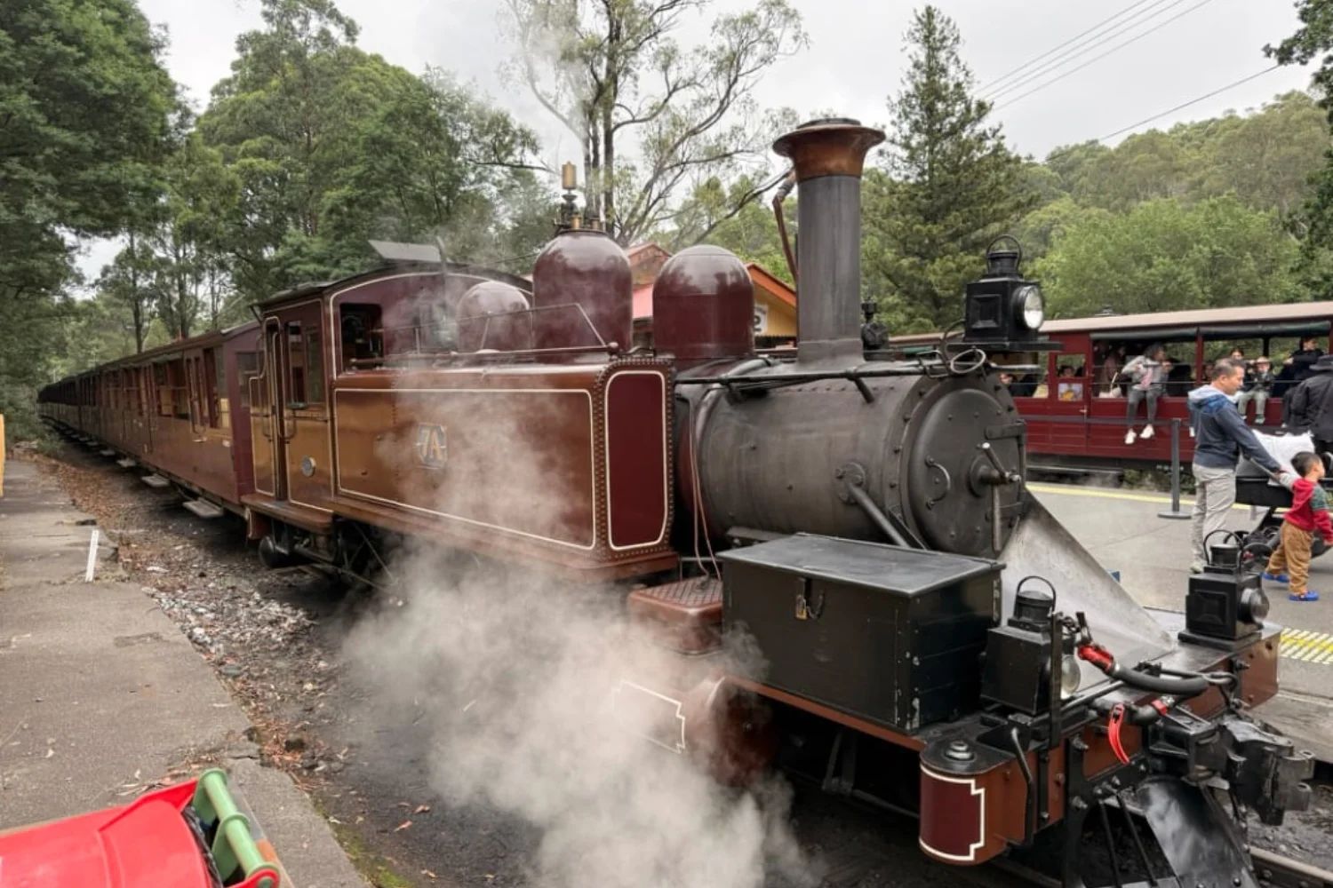 Puffing Billy steam train in the Dandenong Ranges