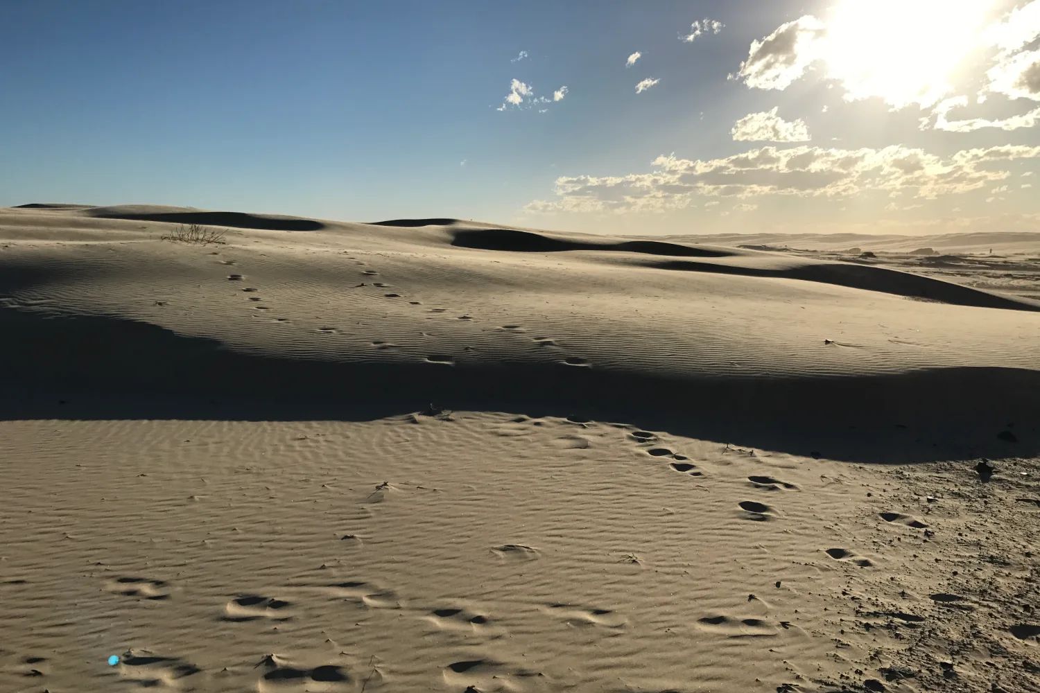 Wind-rippled sand dunes at Anna Bay on Stockton Bight, with footprints crossing them