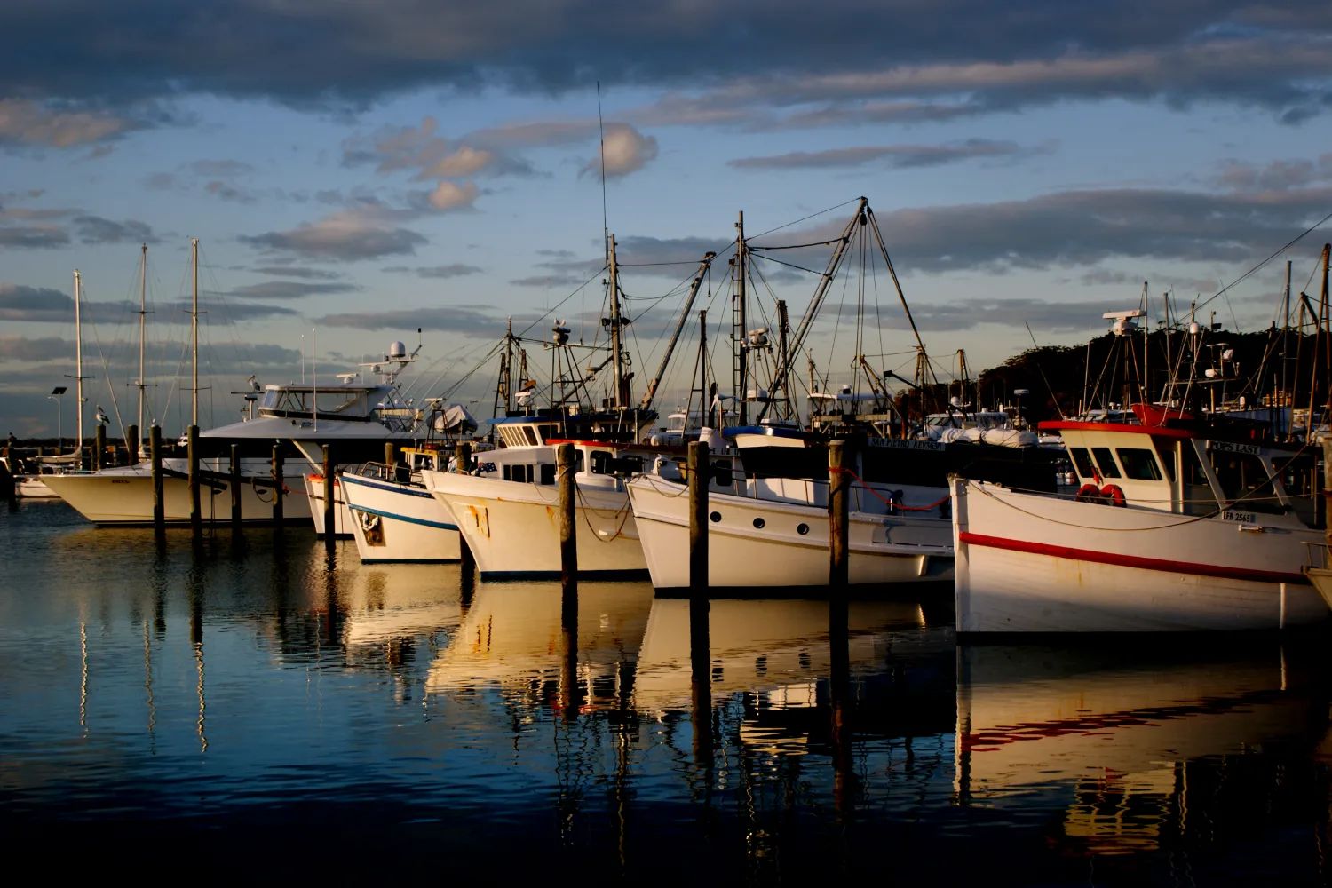 Fishing and charter boats moored at the marina in Port Stephens, reflected in still water at dusk
