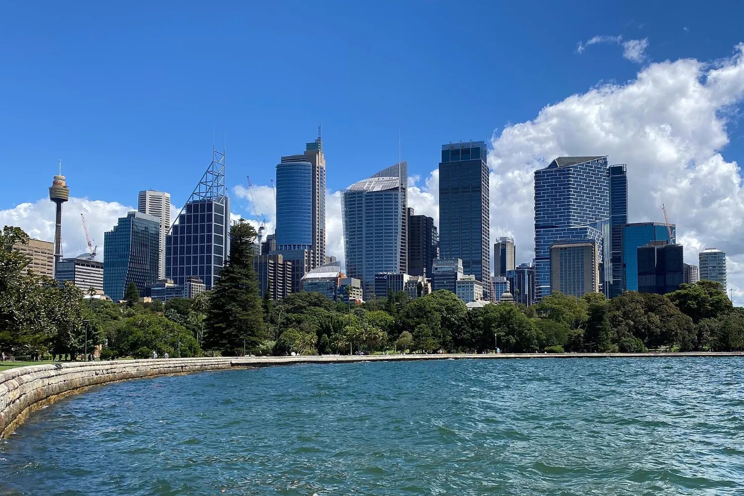 Farm Cove and the Royal Botanic Garden foreshore, with the city towers behind