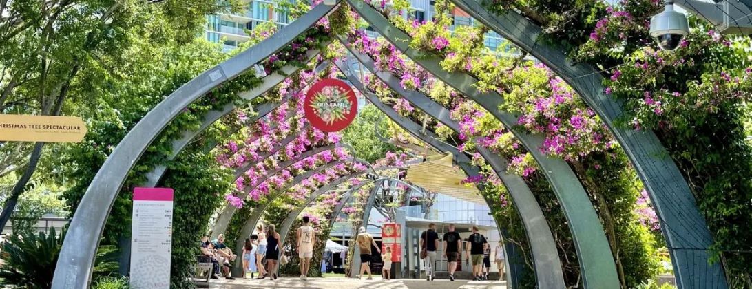 The bougainvillea-covered arbour walkway at South Bank in Brisbane