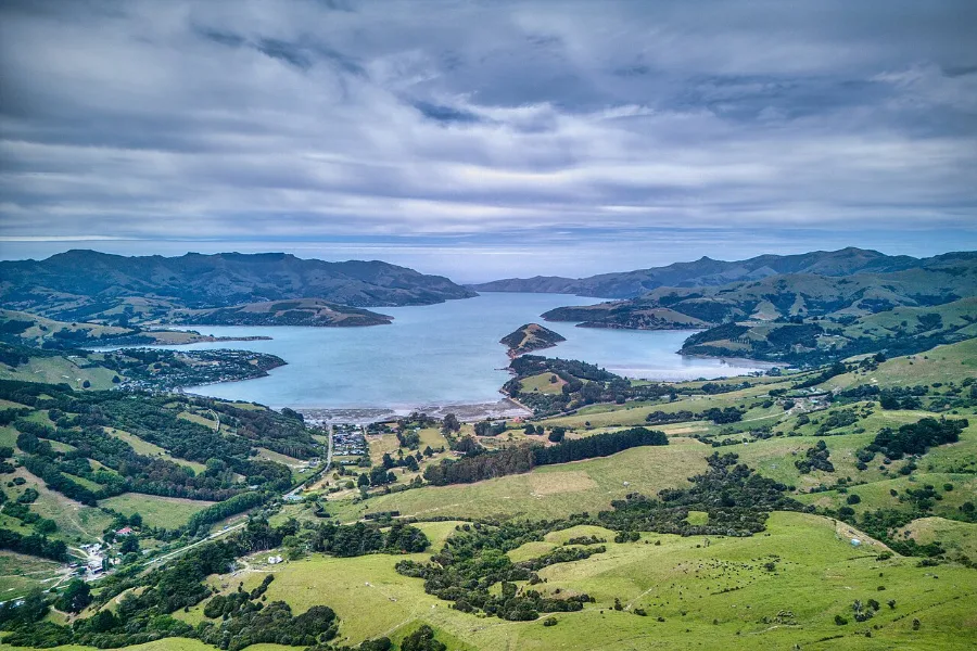 Akaroa Harbour from the hills above: a long blue inlet between the green volcanic ridges of Banks Peninsula.