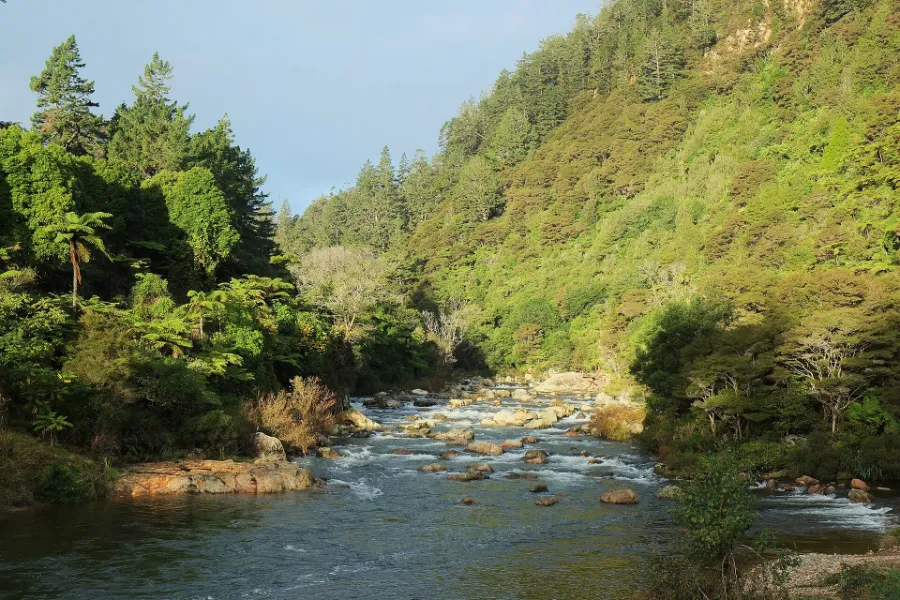The Ohinemuri River running over boulders through the bush-covered walls of the Karangahake Gorge.