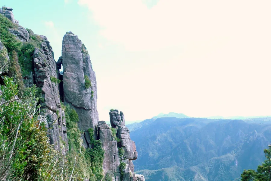 Grey rock spires of the Pinnacles rising above bush, with the forested ranges of the Coromandel falling away behind.