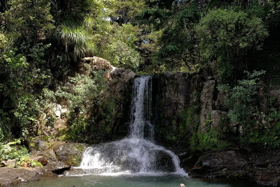 Waiau Falls dropping in a white ribbon over a dark rock ledge into a pool, framed by bush.