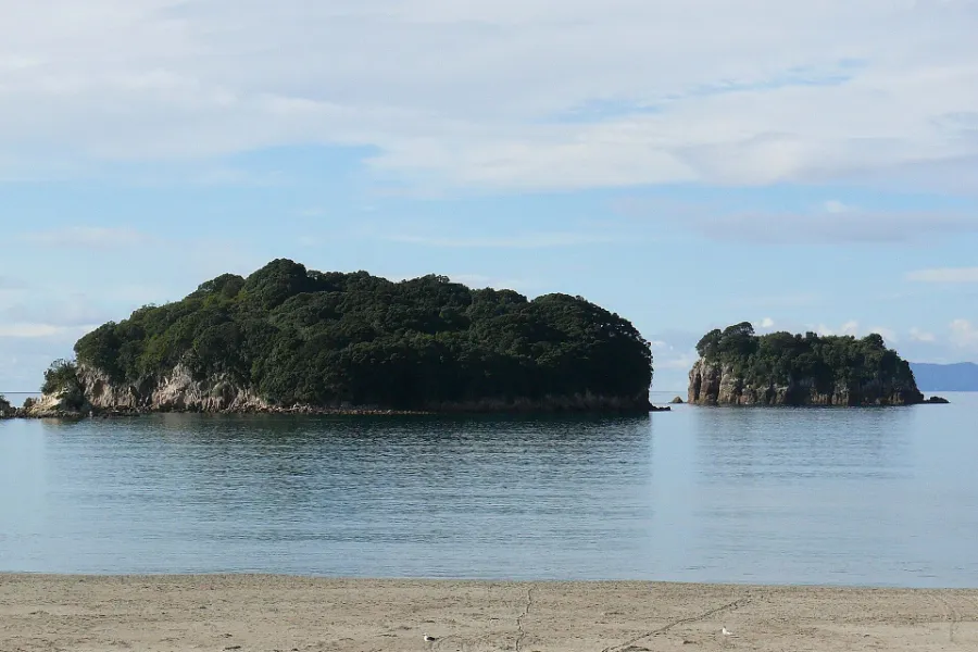 Whenuakura Island seen from Whangamatā, a low bush-covered island with a smaller rock stack beside it.