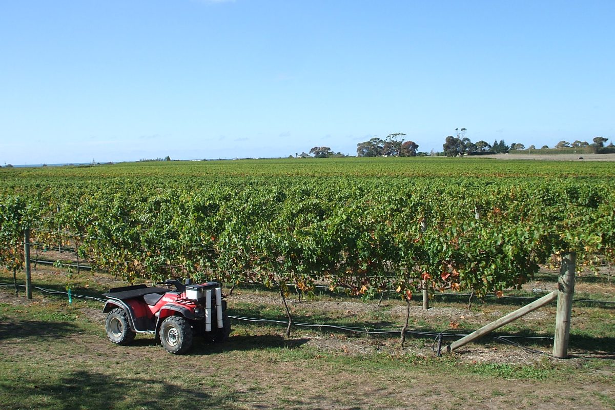 A flat vineyard near Te Awanga on the Hawke&rsquo;s Bay coast, with a quad bike parked at the end of a row