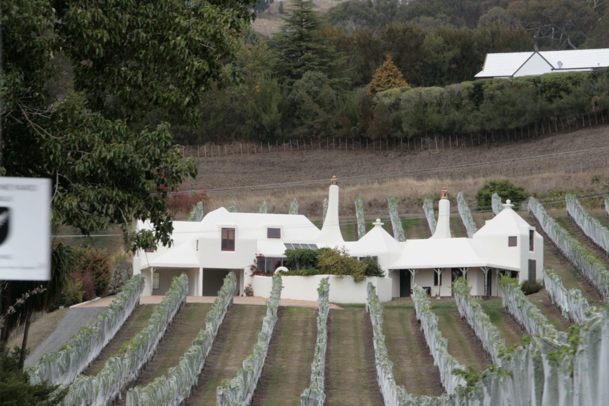 White buildings at Te Mata Estate in Havelock North among rows of vines