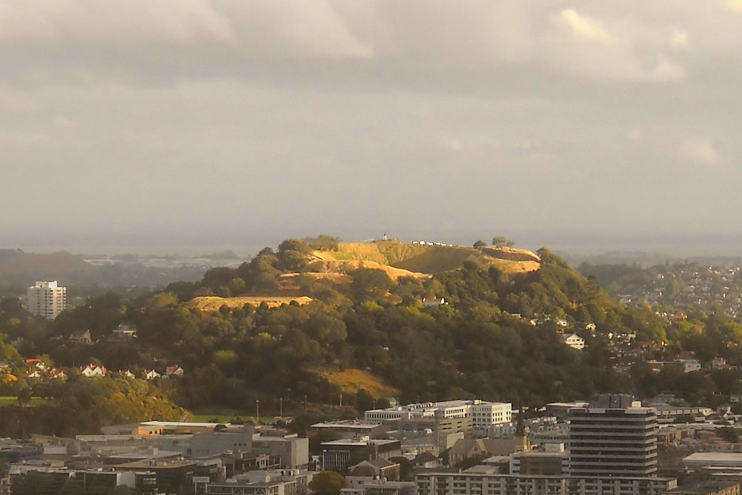Maungawhau rising as a green cone out of the Auckland suburbs, seen from above the city centre