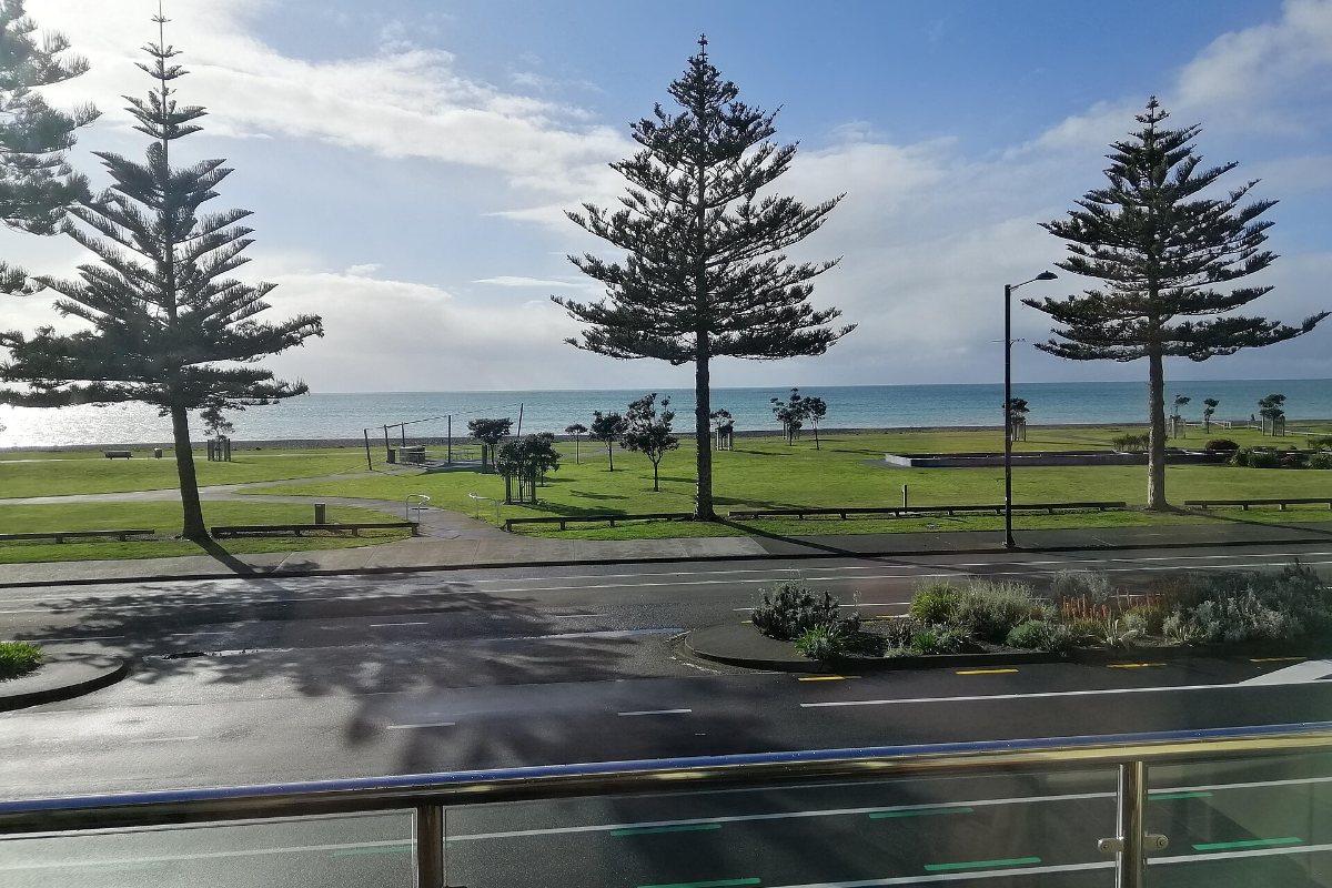 Norfolk pines and lawns along Marine Parade in Napier, with the Pacific beyond.