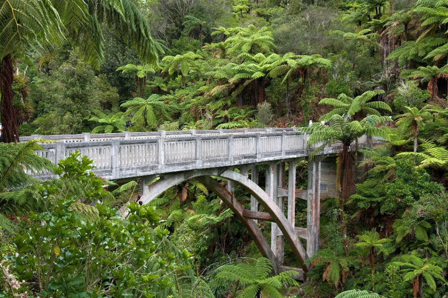 The concrete Bridge to Nowhere spanning a ravine in dense bush and tree ferns, Whanganui National Park.