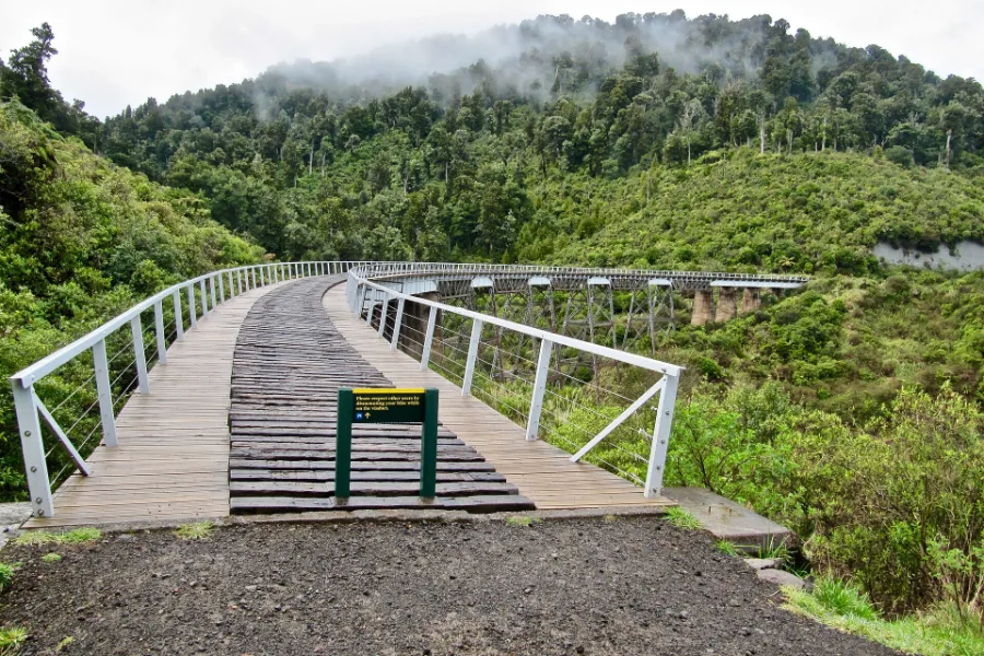 The restored timber deck of the Hapuawhenua Viaduct on the Old Coach Road, running into native forest.
