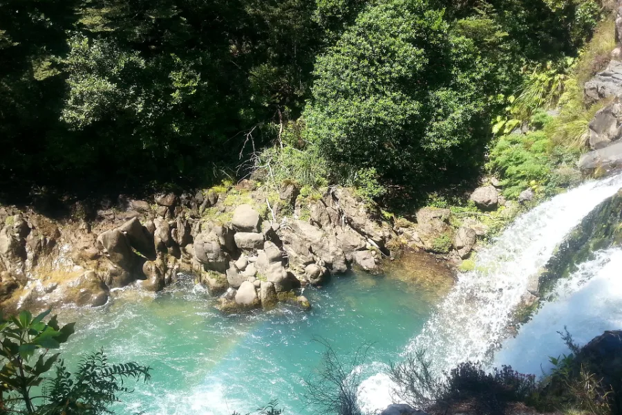 Tawhai Falls dropping over a lava ledge into a clear green pool, framed by mountain beech.