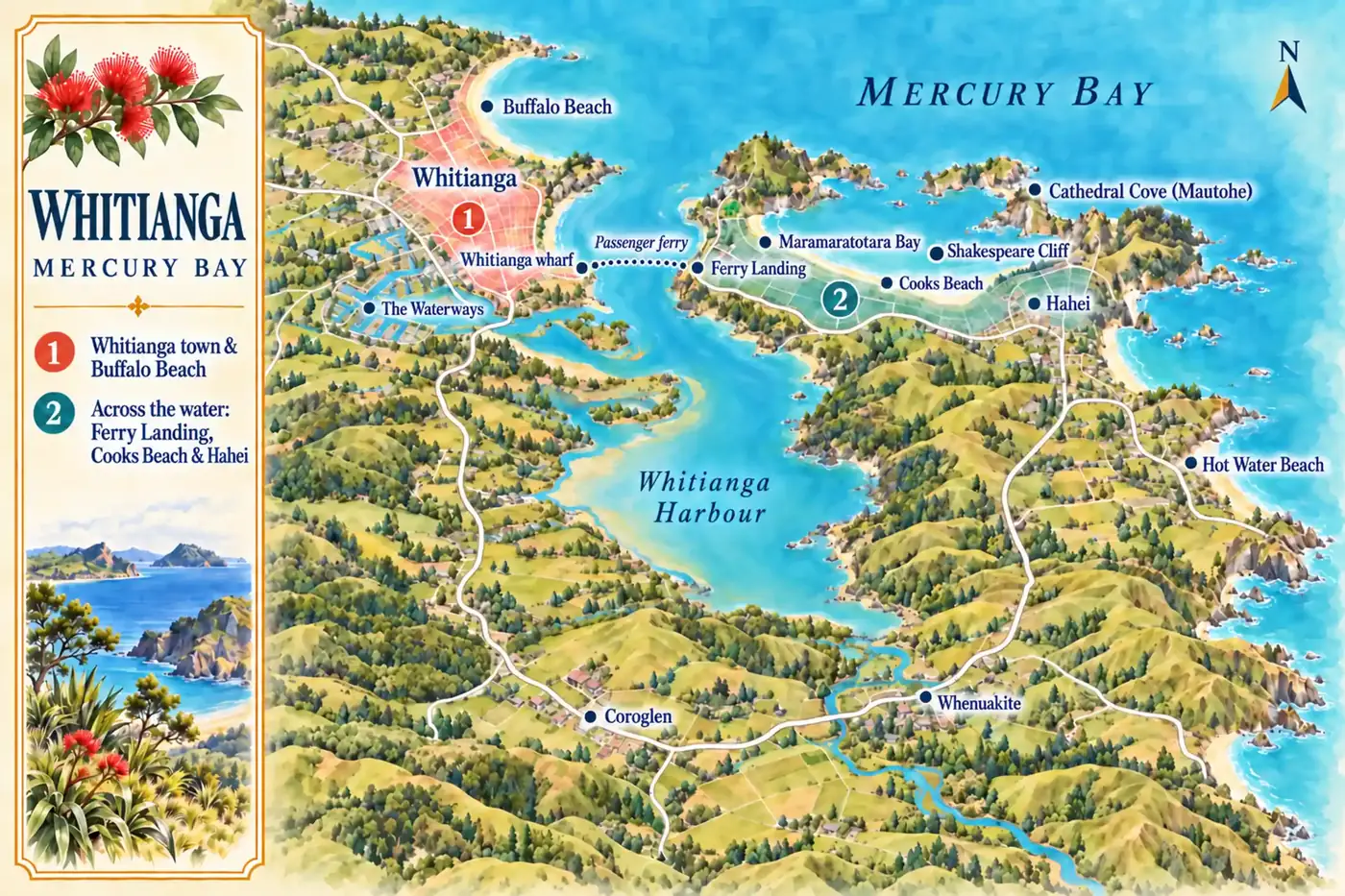 Schematic map of Whitianga and Mercury Bay. The town sits on the western side of the narrow mouth of Whitianga Harbour, with Buffalo Beach running north along the bay. A dotted line shows the passenger ferry crossing the harbour mouth to Ferry Landing. From there the coast runs east past Shakespeare Cliff and Cooks Beach to Hahei and Cathedral Cove. Hot Water Beach lies further south-east. The road from Whitianga to Hahei and Hot Water Beach goes the long way round the harbour, through Coroglen and Whenuakite.