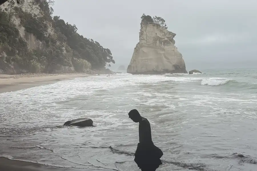 A figure in the shallows at Cathedral Cove, looking down at the water, with Te Hoho rock standing offshore.
