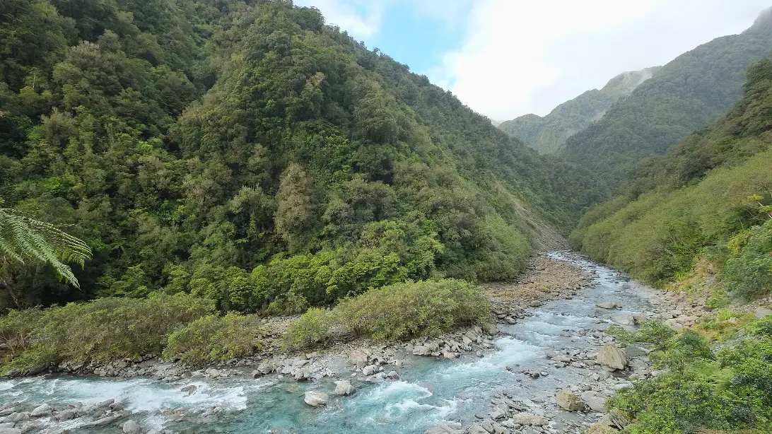 Tatare Stream running over pale boulders through a steep valley of dense green rainforest, upstream of Franz Josef village.