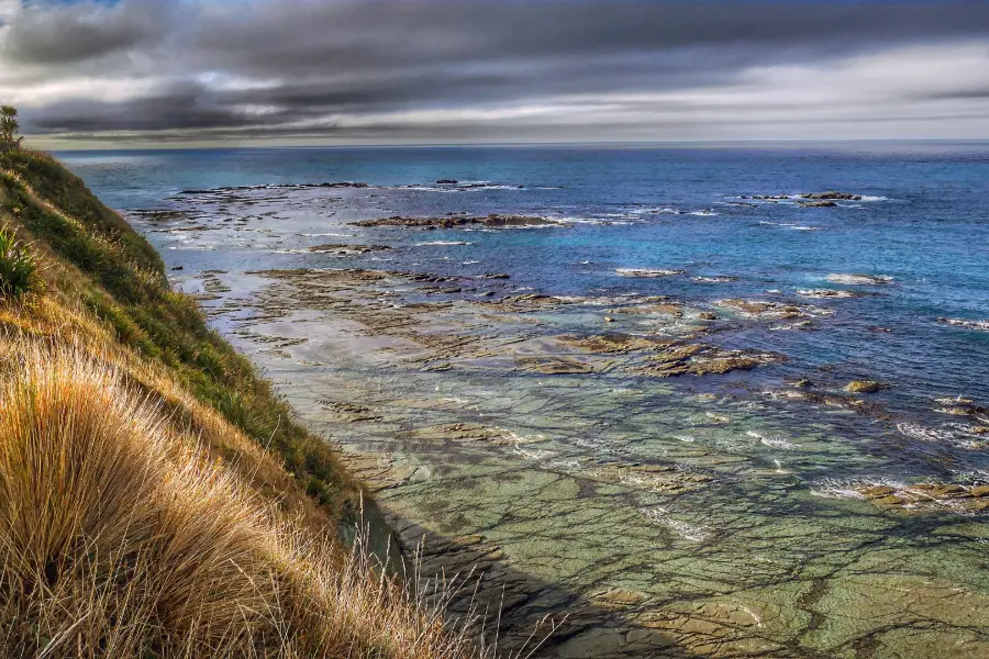 Golden tussock on a clifftop above a wide rock platform and the open sea on the Kaikōura Peninsula.