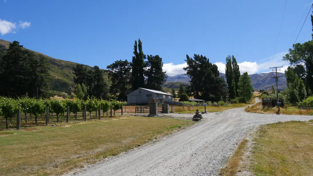 A gravel road beside a small vineyard and a farm shed in the Gibbston valley, with poplars and dry hills behind under a blue sky.