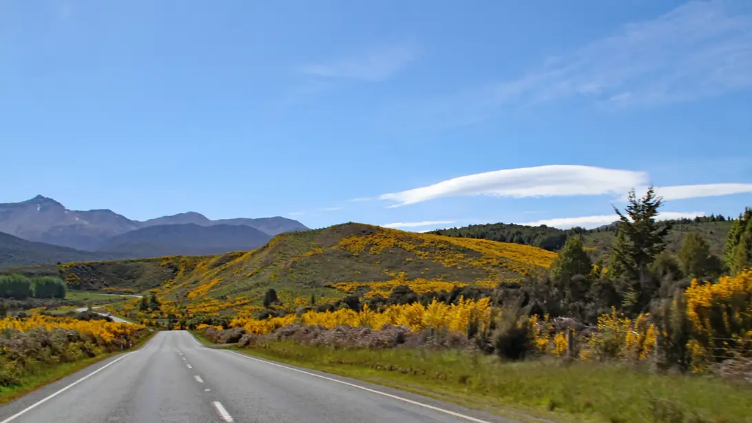 State Highway 94 running north from Te Anau through open country, with yellow broom on the hillsides and mountains ahead.