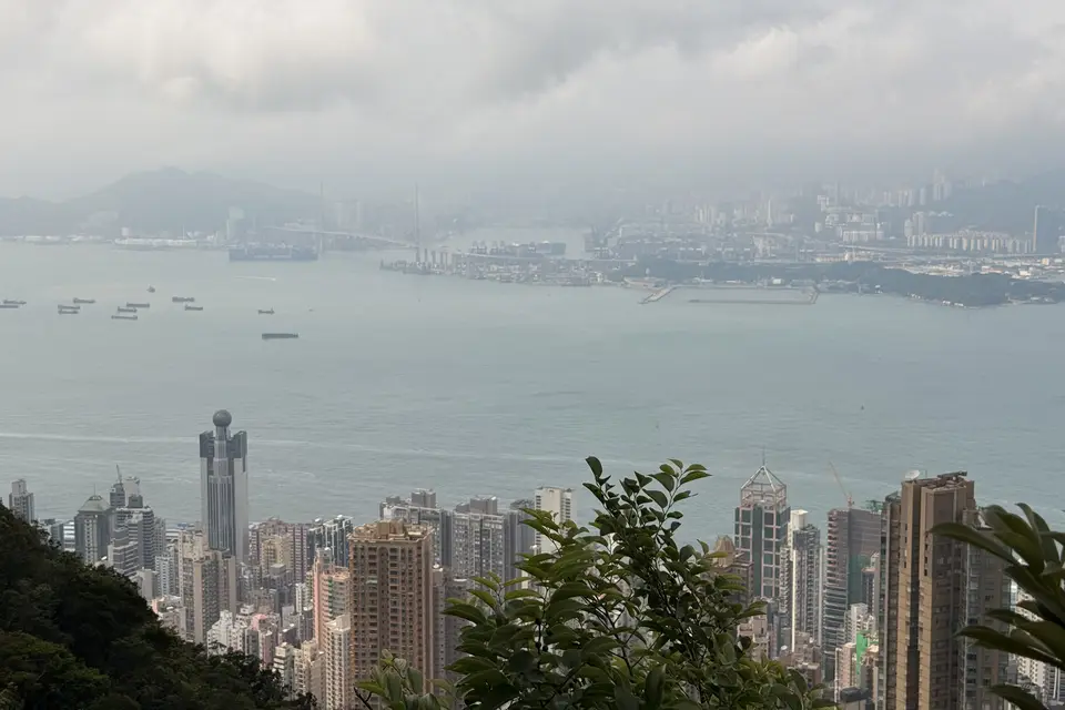 The harbour and Kowloon seen through the trees from the Peak